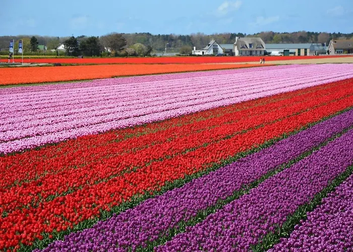 Prinsenhof Aan Zee Luxe Aan Het