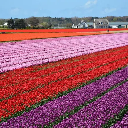 Prinsenhof Aan Zee Luxe Aan Het